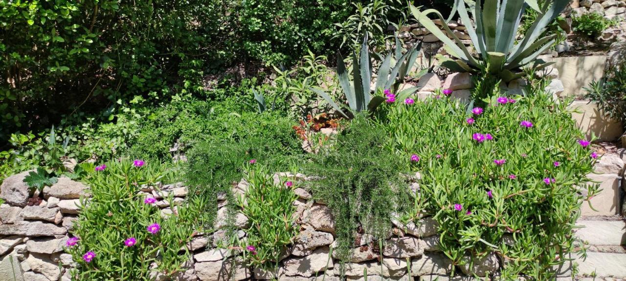 Villeneuve-lès-Avignon Belle Dependance De 30M2 Avec Terrasse Et Jardin 아파트 외부 사진