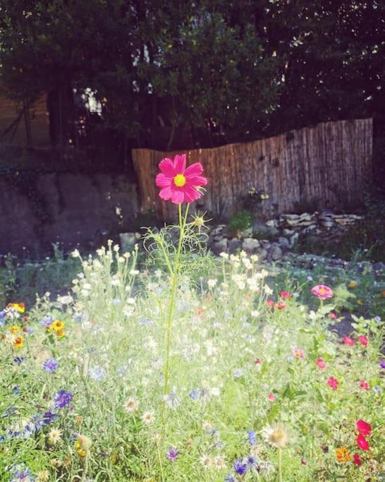Villeneuve-lès-Avignon Belle Dependance De 30M2 Avec Terrasse Et Jardin 아파트 외부 사진