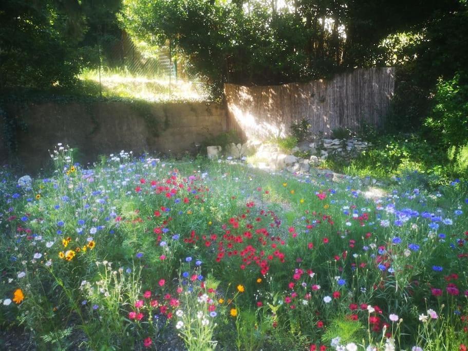 Villeneuve-lès-Avignon Belle Dependance De 30M2 Avec Terrasse Et Jardin 아파트 외부 사진